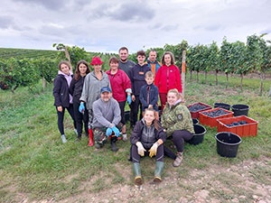 Vinařství Minařík - vinobraní 23 Vinařství Minařík - vinobraní 23